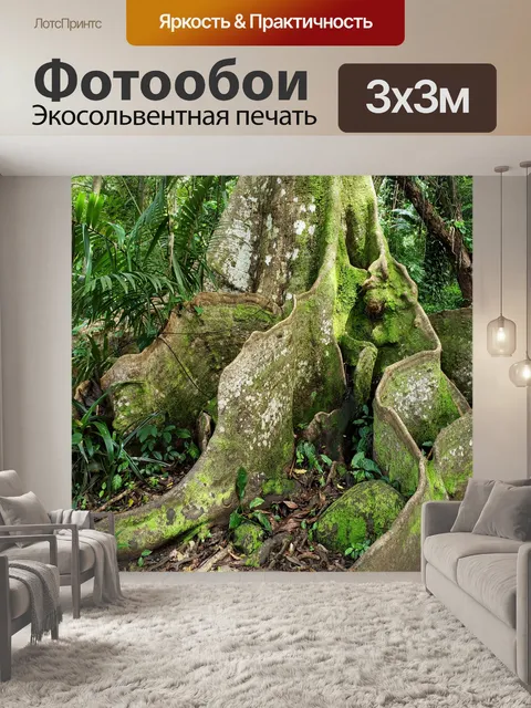 Фотообои Heritiera littoralis Roots