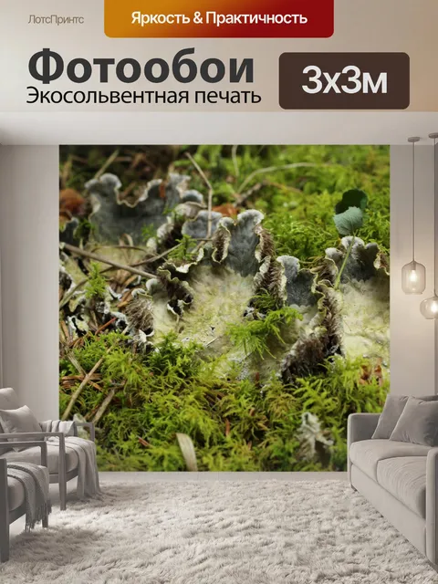 Фотообои Wild Mushroom Гадкий Белый Серый Серый