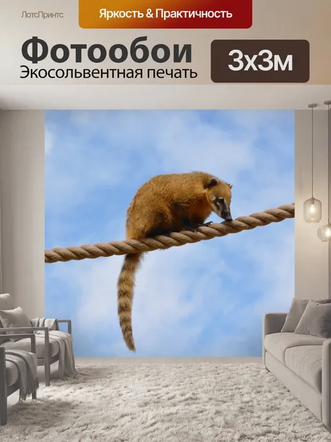 Фотообои Коати