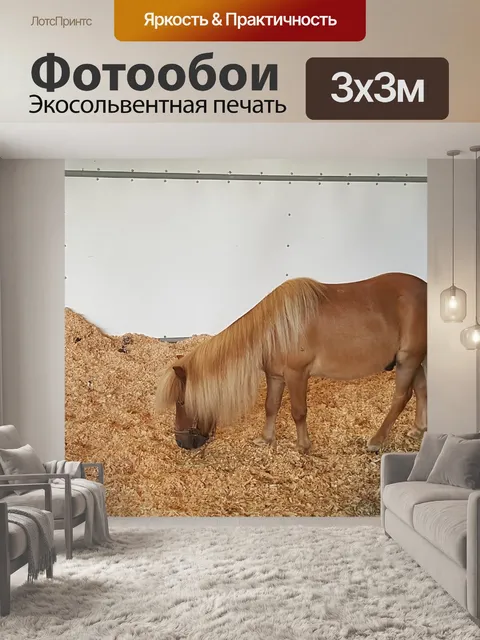 Фотообои Пони