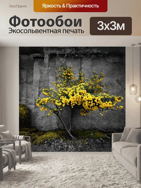 Фотообои большая ветка мимозы, усыпанная яркими желтыми цветами, находится на фоне старинной стены, покрытой мхом