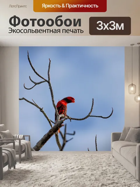 Фотообои Красная птица