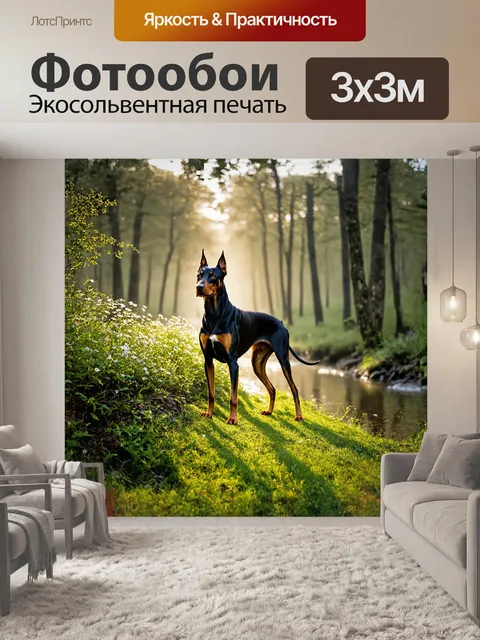 Фотообои доберман, замирая на утреннем тумане, стоит на краю леса, его мускулистая фигура выделяется на фоне…