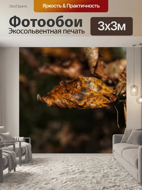 Фотообои Падение