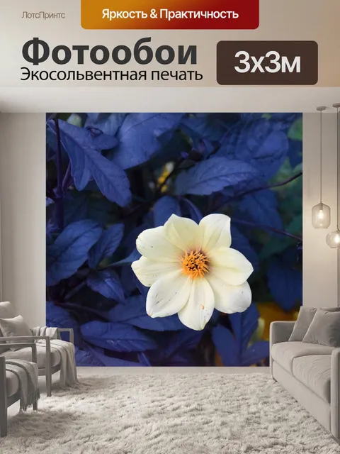 Фотообои Цветок