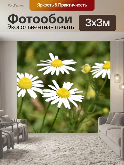 Фотообои Цветы