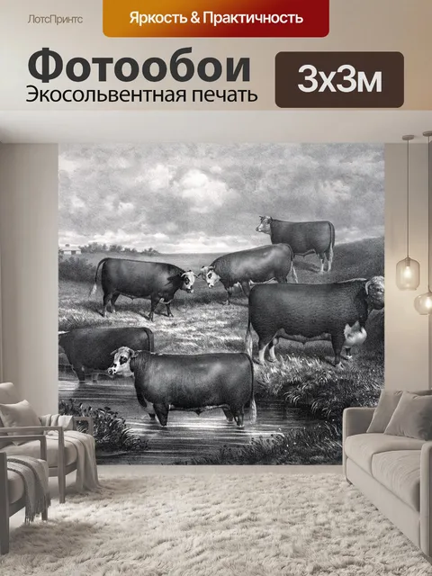 Фотообои Херефорд Steers старинные иллюстрации