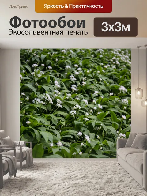 Фотообои Дикий чеснок