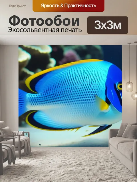 Фотообои подводный мир тропических рыб