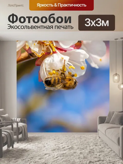 Фотообои опыляющая пчела