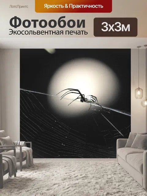 Фотообои Черное и белое