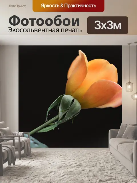 Фотообои Золотая медаль роза