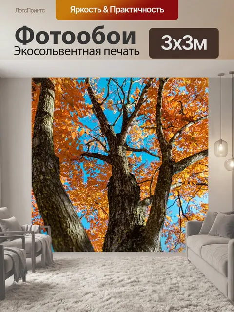 Фотообои Дерево