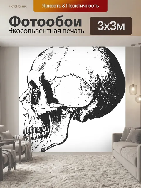 Фотообои Скелет