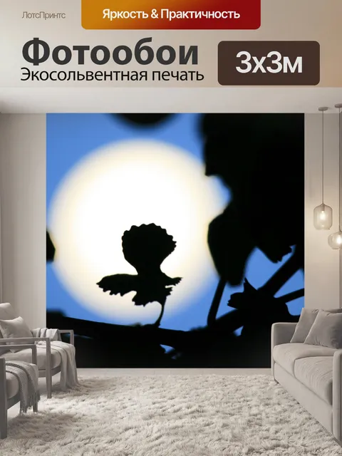 Фотообои полная луна за дерево