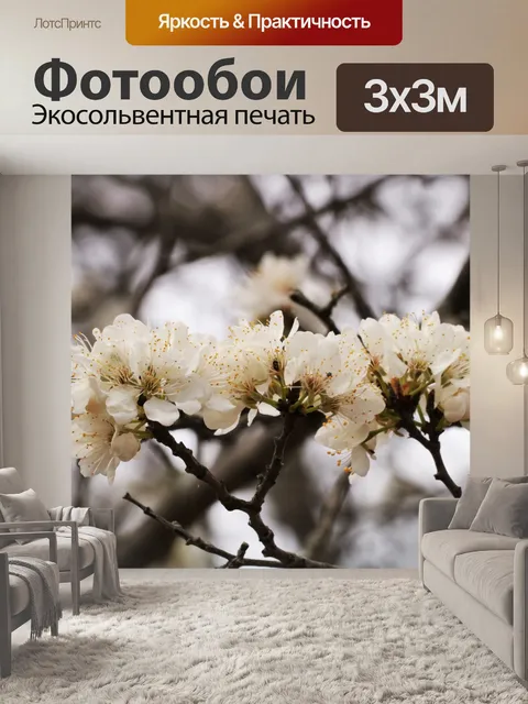 Фотообои Дикая слива крупным планом