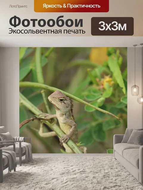 Фотообои Индийский рептилий