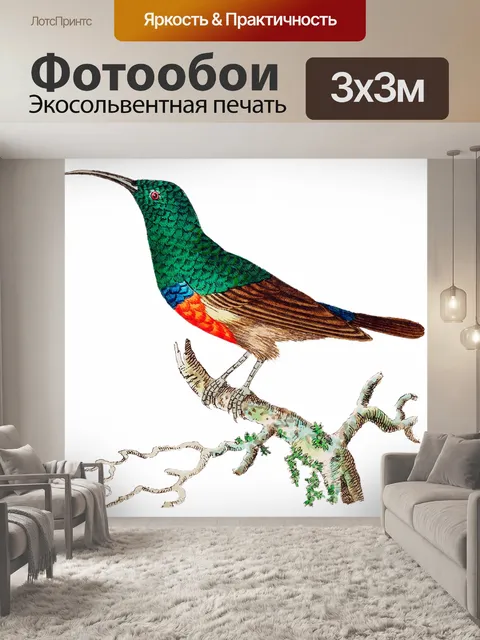 Фотообои Колибри винтаж искусство старый