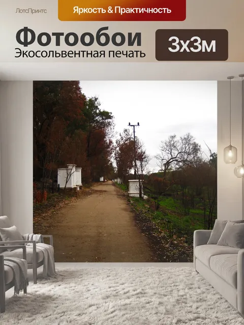 Фотообои декоративные белые столбы на дороге