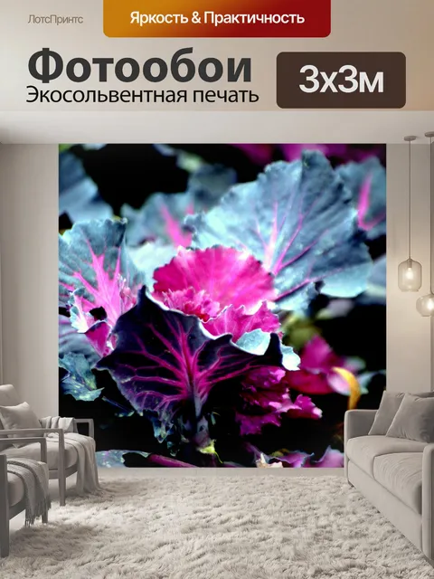 Фотообои Декоративная капуста 1