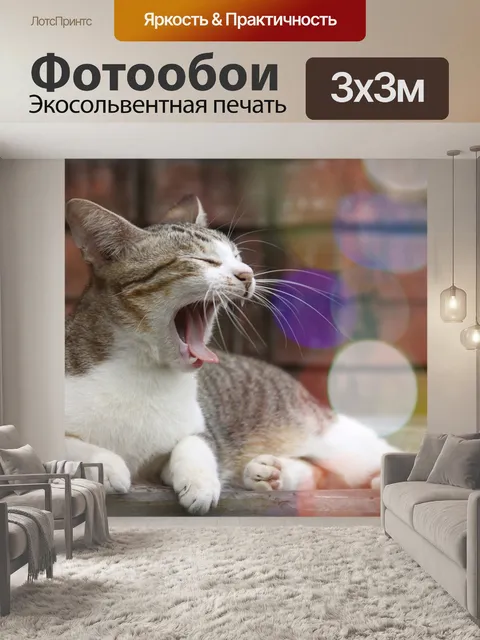 Фотообои Кошка