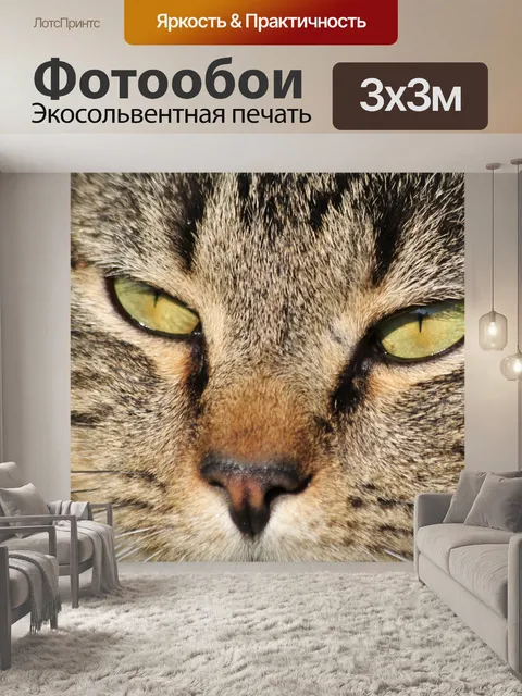 Фотообои Зеленые глаза серого полосатого кота