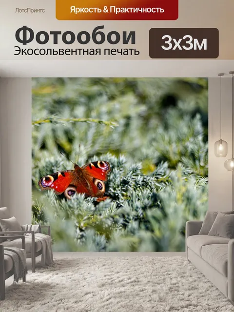 Фотообои Садовая бабочка