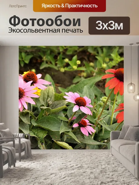 Фотообои Розовые и оранжевые конусы