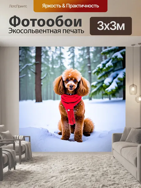 Фотообои пудель в зимнем лесу, на нем красный шарф, вокруг снег и заснеженные деревья