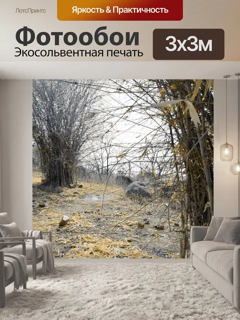 Фотообои Бамбуковый лес 5