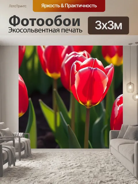 Фотообои нежные тюльпаны в утреннем свете