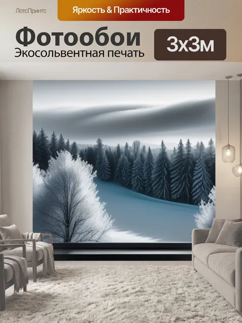 Фотообои пейзаж с окна зимний чернобелый