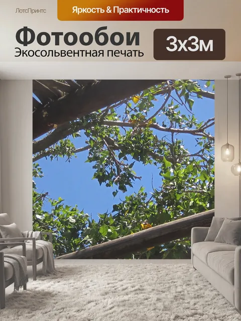 Фотообои Деревянная беседка