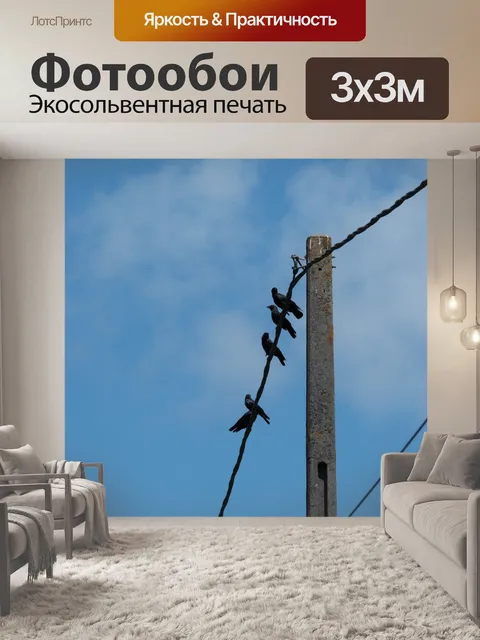 Фотообои Вороны на электрических проводах