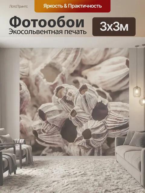Фотообои Сухие кораллы