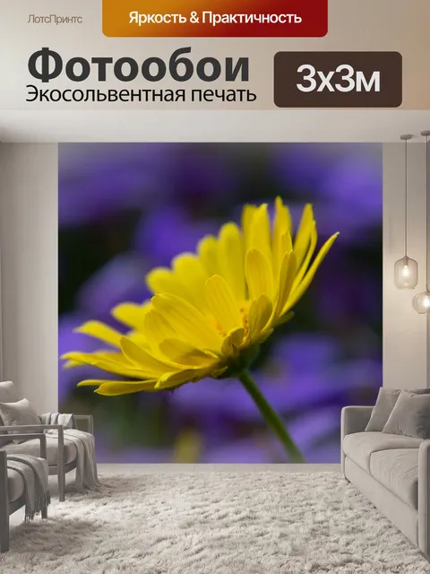 Фотообои Цветок, ромашка