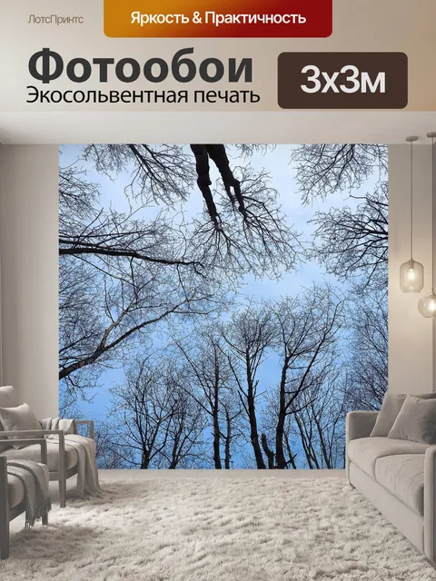 Фотообои Деревья