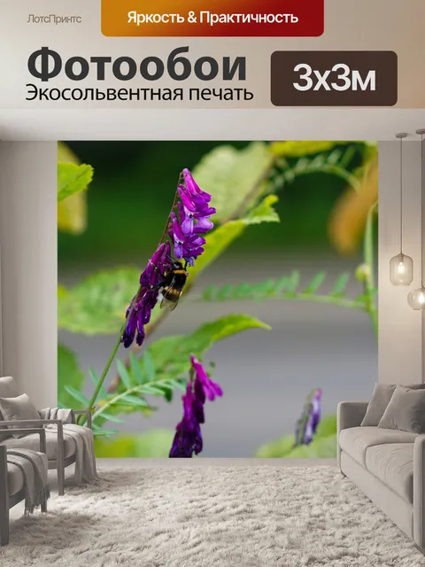 Фотообои Лес