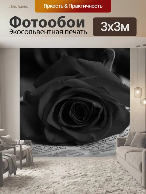 Фотообои Роза
