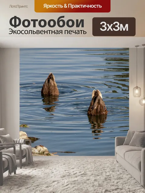 Фотообои Внизу вверх