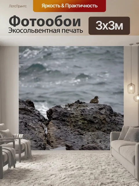 Фотообои Морская птица
