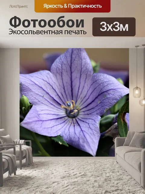 Фотообои Фиолетовый шар цветок крупным планом