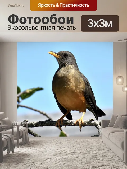 Фотообои Птица