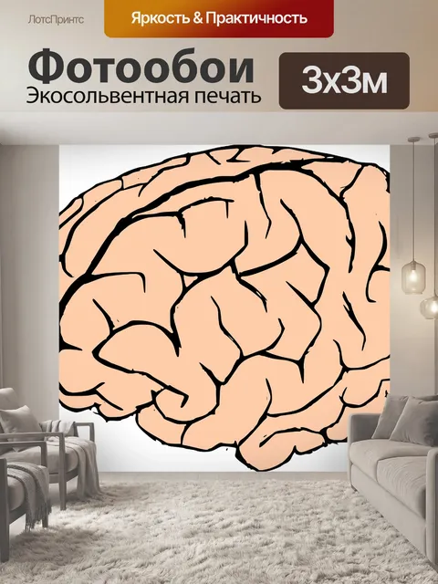 Фотообои Головной мозг