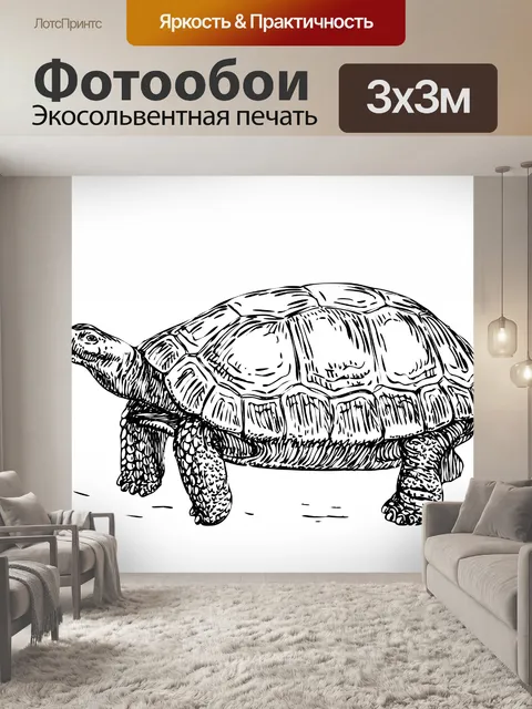 Фотообои Tortoise Иллюстрация Клипарт