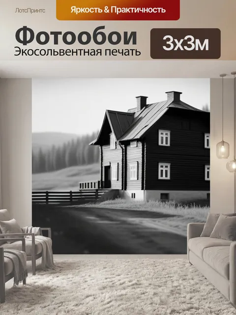 Фотообои русский пейзаж с домом чернобелый