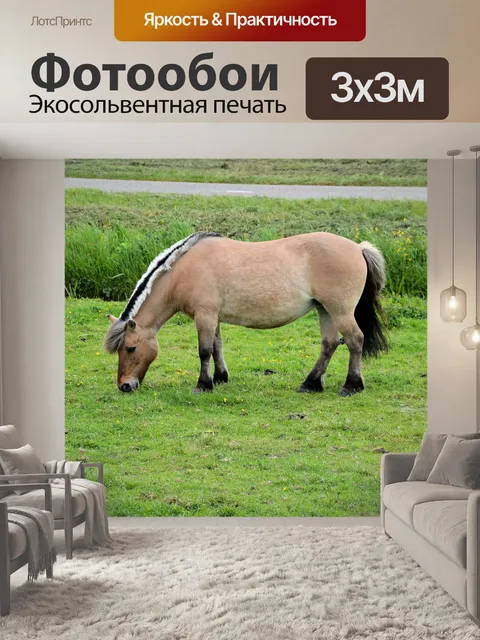 Фотообои Лошади и ферма пони