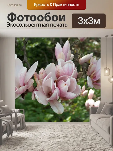 Фотообои Расцветает