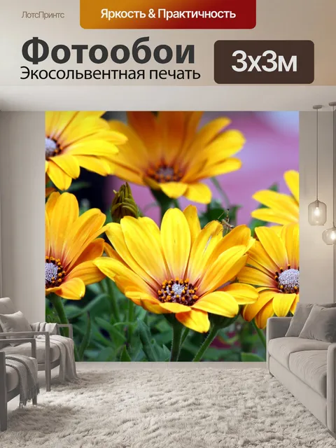 Фотообои Желтые африканские маргаритки 2