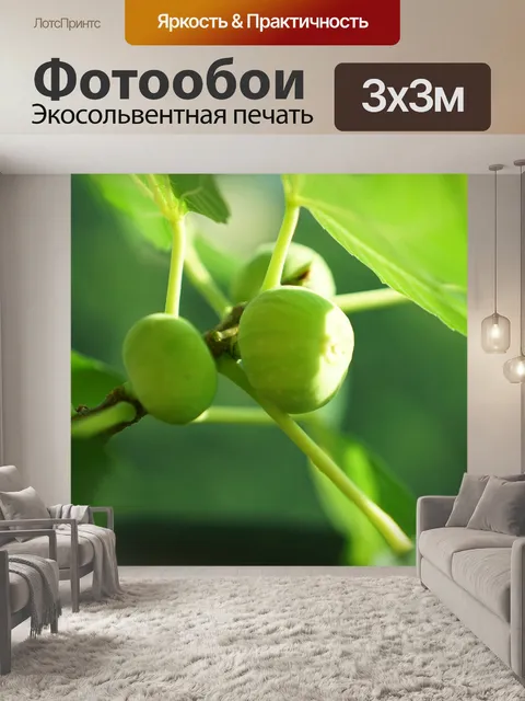 Фотообои Молодые плоды инжира